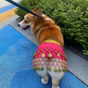 HATELI Dog Dance Costume Corgi Waist Chain Butt Curtain Clothes Pet Sequin Belly Dance Prop Puppy Shaking Hip Scarf for Halloween New Year Christmas Belt Dancing Skirts