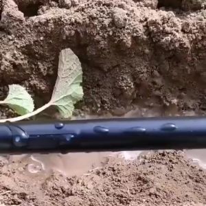 500-1000M 16mm 0.3mm Thickness Drip Irrigation Tape Hole Space 20/30/40cm Soaker Greenhouse Farm Watering Hose Patch Tape Hose