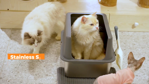 【Ready Stock】Large Capacity Cat Litter Box Semi-closed Sand Box for Cats Pet Toilet Anti Splash Cat Tray Cat Litter Scoop