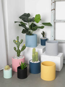 Straight-leg Cylindrical Ceramic Flower Pot Morandi Colorful Scandinavian Indoor Greenery Cactus Pot round Basin with Tray