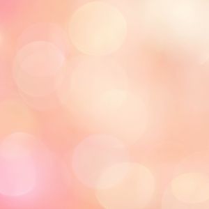 Bông Gòn y tế Bảo Thạch bông gòn cuộn dạng kg