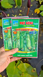 [THIEN THINH SHOP] Combo 2 Gói Hạt Giống Bí Đa-o WG9 của Phú Nông Kháng Bệnh Tốt Sinh Trưởng Khỏe Trái To Dài
