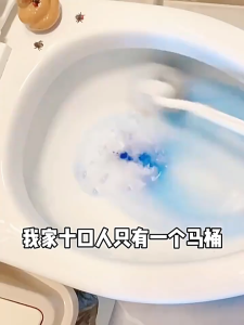 500ML Toilet Cleaner/Toilet Cleaning Liquid/Deodorizing And Removing Urine Stains/Multi-Purpose Fragrance Cleaner