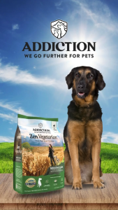 Zen Vegetarian Sensitive Care 100% Plant-Based Dry Dog Food for meat allergies and sensitives