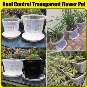 11Cm/14Cm Kiểm Soát Gốc Trong Suốt Chậu hoa Cho Phalaenopsis Phong Lan Cattleya Trồng Với Stomata Chậu hoa Cho Trang Trí Nội Thất