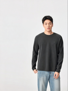 Purcotton | Waffle Texture Casual Spring Mens Long Sleeve T-Shirt