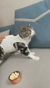 Áo chống liếm cho Chó Mèo áo cai sữa form nhỏ (đo kích thước trước khi chọn size) - Love Pets Shop