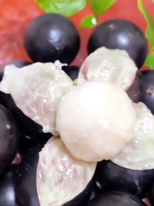 Bibit Tanaman Anggur Pohon/anggur  Brazil/Sabhara/SABARA Jaboticaba BERLIAN BIBIT UNGGUL