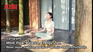 AIBI VibroZen Vibration Plate