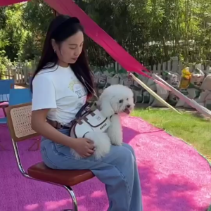 SG Stock Pet Carrier Adjustable Dog Sling Bag Multifunctional Chest Backpack Breathable Outdoor Travel Shoulder Bag with Leash for Small Puppy Cat
