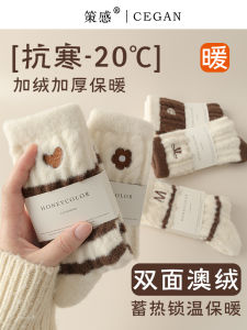 Thickened Fleece Womens Socks Winter Warm Sleepwear Coral Velvet Long Tube Home Floor Socks Luxury Embroidered Australian Velvet