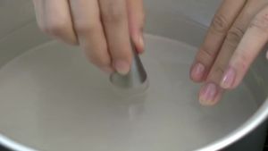 Bộ 10 món Làm Thạch Rau Câu 3D Nghệ Thuật họa tiết lá cây chát liệu Inox