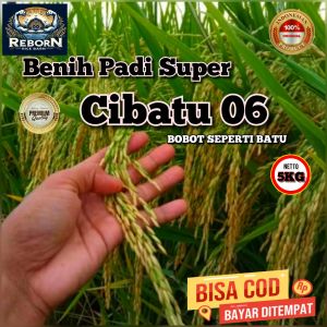 (5kg) Benih Padi CIBATU 06 Bibit Padi super unggul kualitas terbaik