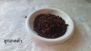 ลูกเกด ดำ อบแห้ง (black currant) รสธรรมชาติ ไม่ปรุงแต่ง พร้อมทาน อร่อย มีประโยชน์ ธัญพืชเพื่อสุขภาพ