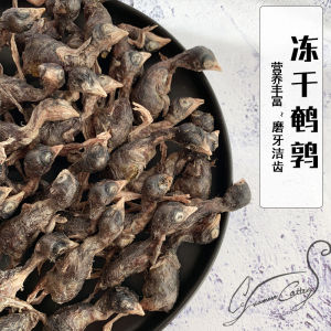 Cc Home Fresh Meat Freeze Dried Cat Food Pet Snacks Nutritional Weight Gainer Dog Food Freeze Dried Quail Bone Meat