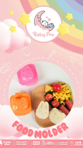 Baby Pro Philippines 2pcs Baby Food Molder for Rice Bread Boiled Egg Bento Box Tools - Quick to Use
