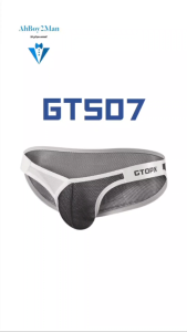 Mens Brief: V Front Mesh Brief (GT507)