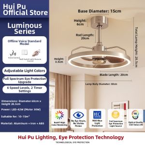 HUIPU ZHAOMING | Retro Style High Brightness Eye-Protective Dining and Bedroom Fan Light
