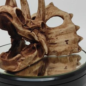 Aquascape Aquarium Kepala Tengkorak Dinosaurus Hiding Cave Fish Dekorasi Ornamen Triceratops