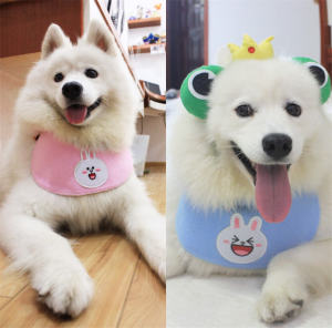 Qiaoshou Yu Ma/Pet Dog Saliva Towel Large Dog Pure Cotton Waterproof Cute Cony Rabbit Bib Samoyed