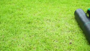 Saverstore 50M Weedmat PP 90GSM Penutup Tanah Bumi Pencegah Rumpai Weed Control Gardening Weed Control Mat Pertanian 防草布