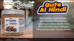 Sehatin Quts Alhindi Asli Qust Al Hindi Qist Hindi Kayu India Original Bubuk Kapsul Qust Hindi