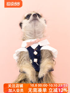 Umi Pet Cowboy Clothes Small Pet Vest with Flying Sleeves Cute Trendy Clothing That Can Hold Traction Rope for Fox Pups