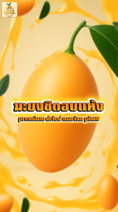 มะยงชิดอบแห้ง [โปรโมชั่น] ซื้อครบ 5 ซอง ฟรี!! ซองเดี่ยว 1 ซอง