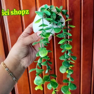 Dolar Juntai + Pot Permata Daun Artificial Daun Dekorasi