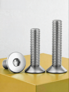 BAIRUITE | 304 Stainless Steel Countersunk Socket Head Screws