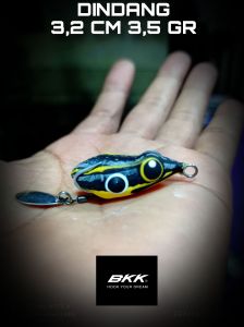 SF dindang " tengil "