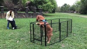 Pet Cage DIY Panel Grid Wire Netting Component sangkar kucing diy Cat Cage  dog cage 猫笼 狗围栏