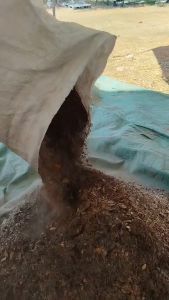 (ส่งฟรี)ใบก้ามปูแห้งบด 3 กระสอบ (นน.10-13 kg./กระสอบ) ใบก้ามปูล้วนๆ100% ใช้เวลาจัดส่ง 5-7 วันทำการ