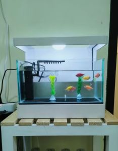 akuarium minimalis fulset SMA kabinetnya