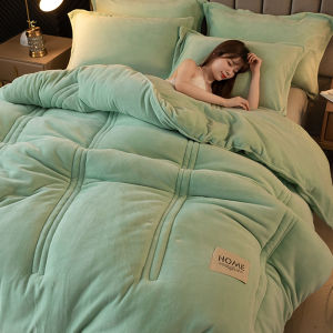 Thickened Winter Warm Milk Velvet Double Sided Flannel Coral Fleece Comforter Non Shedding Silk Cotton Core Polyester Fiber Bedding