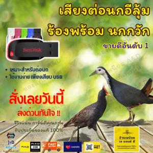 Flash Drive เสียงต่อ นกอีลุ้ม ร้องพร้อม นกกวัก – คมชัด 6 ชั่วโมง ไม่มีโฆษณา | ส่งด่วน Flash Express | เก็บเงินปลายทาง