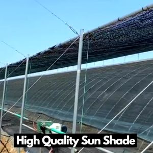 1/2x30M Black Sun Shade Netting Orchid Net Jaring Hitam Naungan Sunproof Garden Mesh Sunblock Cover Cloth Greenhouse