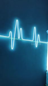 Paket Lampu LED Neon Flex 220v Flexible 1 2 3 4 Dan 5meter Waterproof Dekorasi Rumah Kamar Dinding