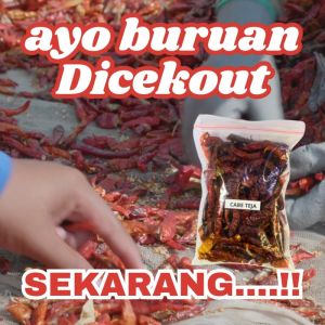 Cabe Teja Petik kering Cabai Merah India Kering Pedas Cabe Ring Chili Ring 100gr Cabe Seblak