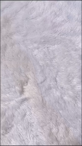 [ISI 3] CD Pria AGREE 6659 Model Boxer