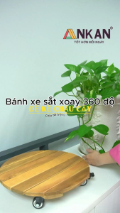 Đế Lót Chậu Cây Lớn ANKAN D35cm Tải Trọng 150Kg Di Chuyển Vật Nặng Trong Nhà Màu Vàng Nắng