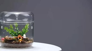微景观玻璃瓶 Auralis Terrarium Glass Terrarium Glass Vase Mini Succulent Planter Balang Kaca  微景观 苔藓