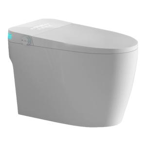 JOMOW | Intelligent Automatic Flap No Pressure Limitation Instant Heating Dual Water Path Toilet