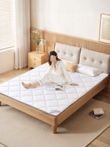 FUANNA (富安娜) | Foldable Coconut Fiber Mattress Single Bed