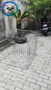 Kandang Galvanis / Kurungan Ayam Galvanis Kotak 80x80x80 cm