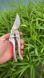 Kéo Cắt Cành Cây Cao Cấp Siêu Sắc Bén SADA - Tăng 20 Lần Lực Cắt - Thép SK5 Độ Bền Cao - Đạt Độ Cứng HRC60