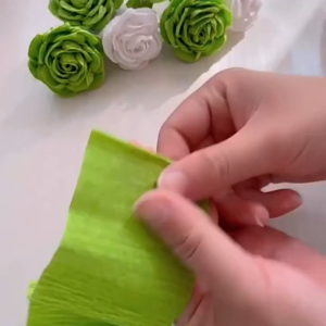 Crepe Paper Roll 250*50cm Multi Colour DIY Flower Bouquet Wrapping Craft Supplies Party Decor