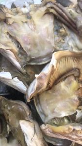 Đầu Cá Tra Phồng Khô 3 Nắng Sạch Ngon Không Mặn - ĐẶC SẢN MINH TRIẾT