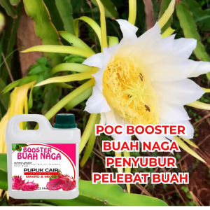 Pupuk Buah Naga Cair 1 liter Nutrisi Pelebat Pembesar untuk Bunga dan Buah Anti Rontok