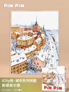 Decorative Stress Relief Adult Gift PinpinPuzzle Stockholm 521 Piece Puzzle Brain Teaser Educational Toy for Teens And Adults